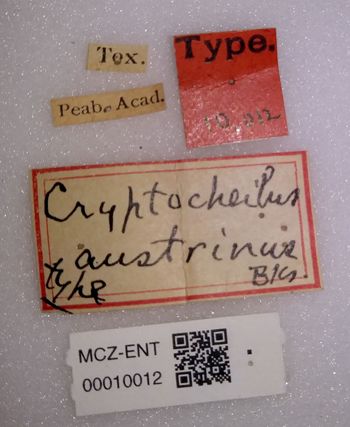 Media type: image;   Entomology 10012 Aspect: labels